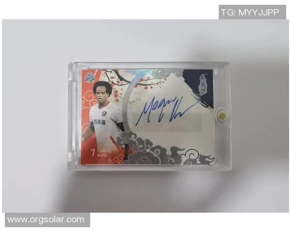 球星卡与足球配置的完美融合探索打造个人化竞技体验